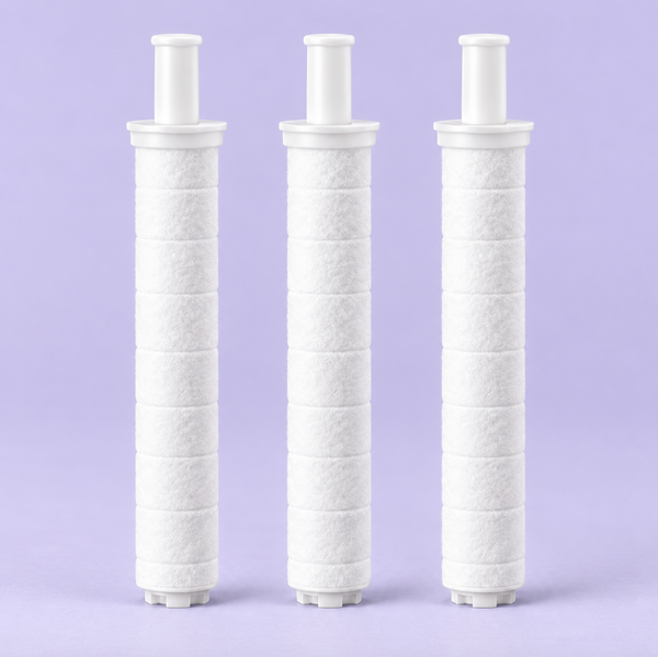 Remplacement de filtre du pommeau de douche